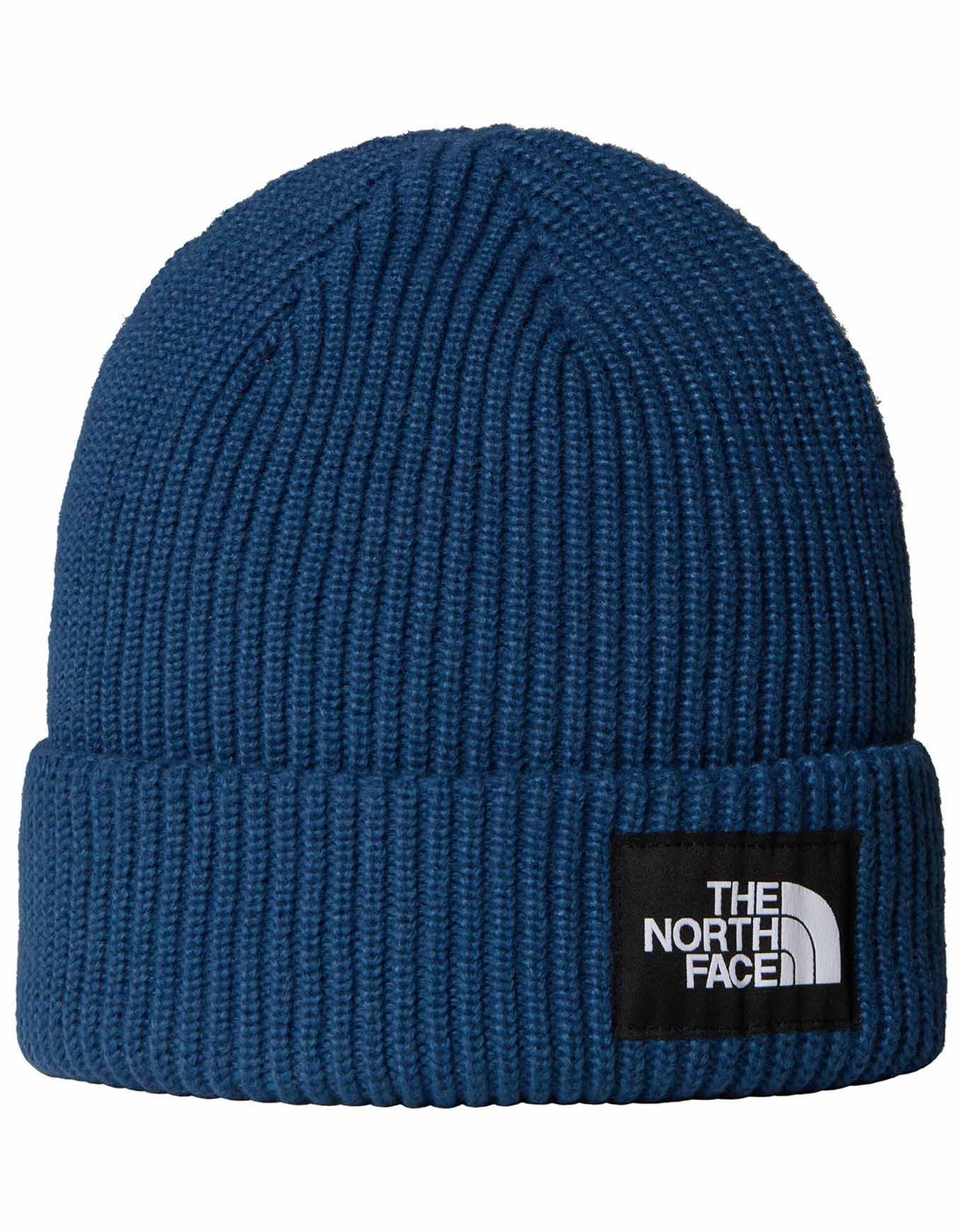 Beanie - North Face Salty Lined Beanie