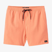 Boys Volley - O'Neill Boys Lennoz Hermosa 16" Volley Short