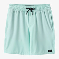 Boys Volley - O'Neill Boys Lennoz Hermosa 16" Volley Short
