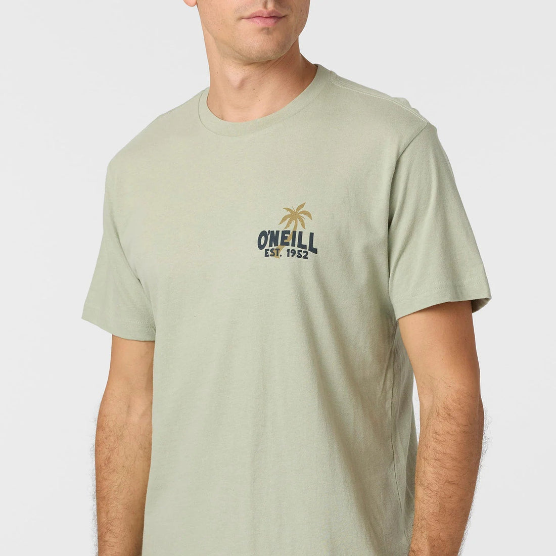Tee - O'Neill Axelrad Standard Fit Tee