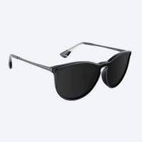 Blender - North Park X2 Sunglasses