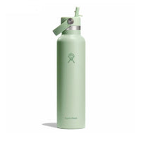 Standard Mouth Bottle - 24oz With Flex Straw Cap