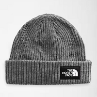 Beanie - North Face Salty Lined Beanie