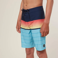 Boys Boardshort - O'Neill Boy's Hyperfreak Heist Boardshort
