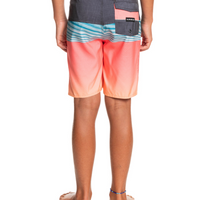 Boys Boardshort - Quiksilver Boys 8-16 Everyday Panel 17" Boardshort