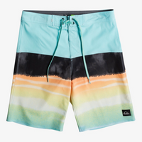 Boys Boardshort - Quiksilver Boys 8-16 Everyday Panel 17" Boardshort