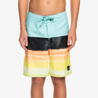 Boys Boardshort - Quiksilver Boys 8-16 Everyday Panel 17" Boardshort