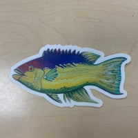 Bermuda Stickers