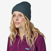Beanie - Patagonia Fisherman's Rolled Beanie