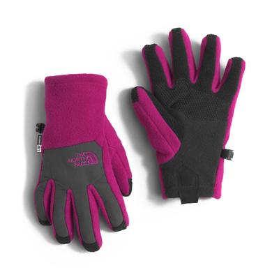 Ski Gloves - North Face Youth Fleece Etip Glove