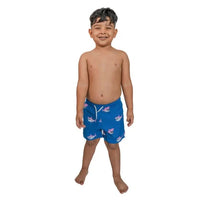 Boys Volley - Bermies Fin-Tastic Swim Short