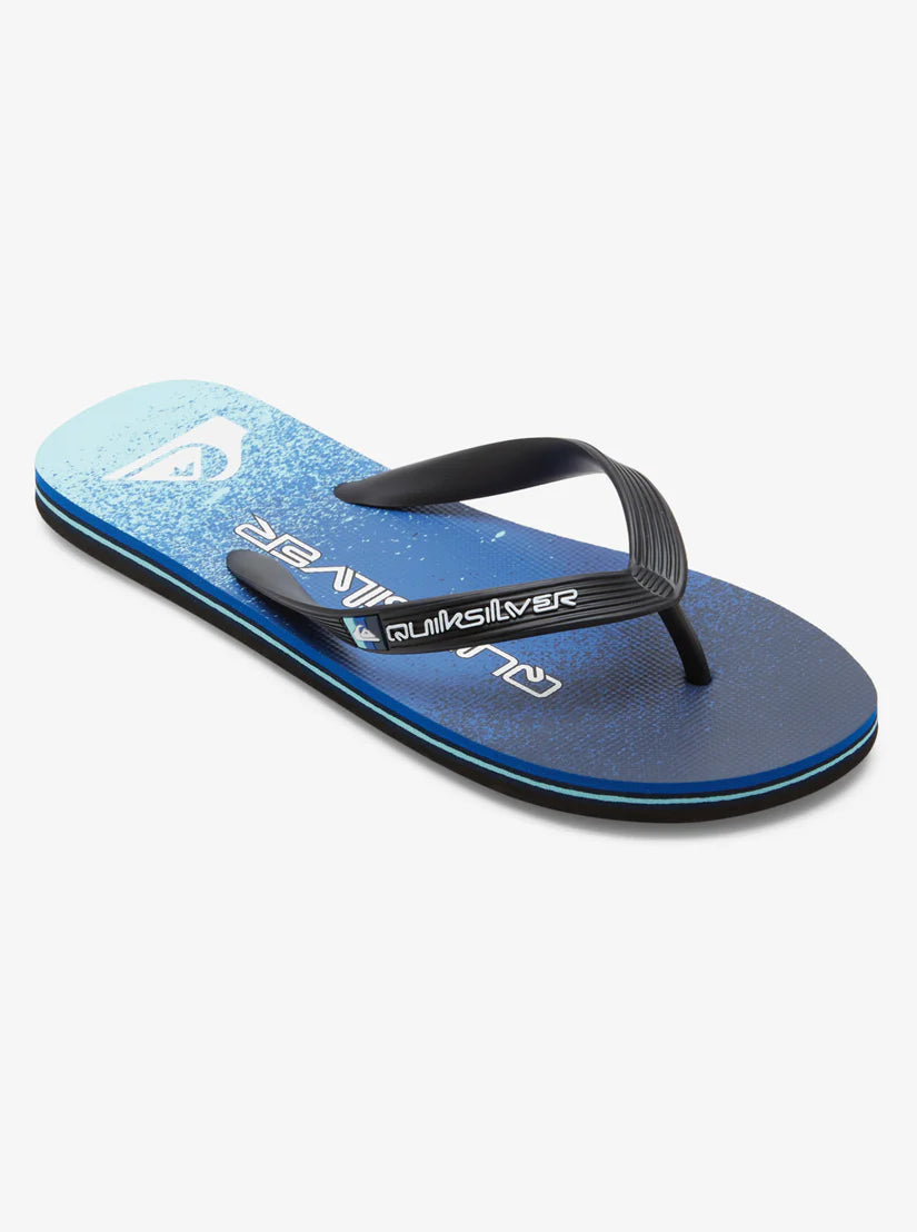 Boys - Quiksilver AB Molokai Art II Sandals