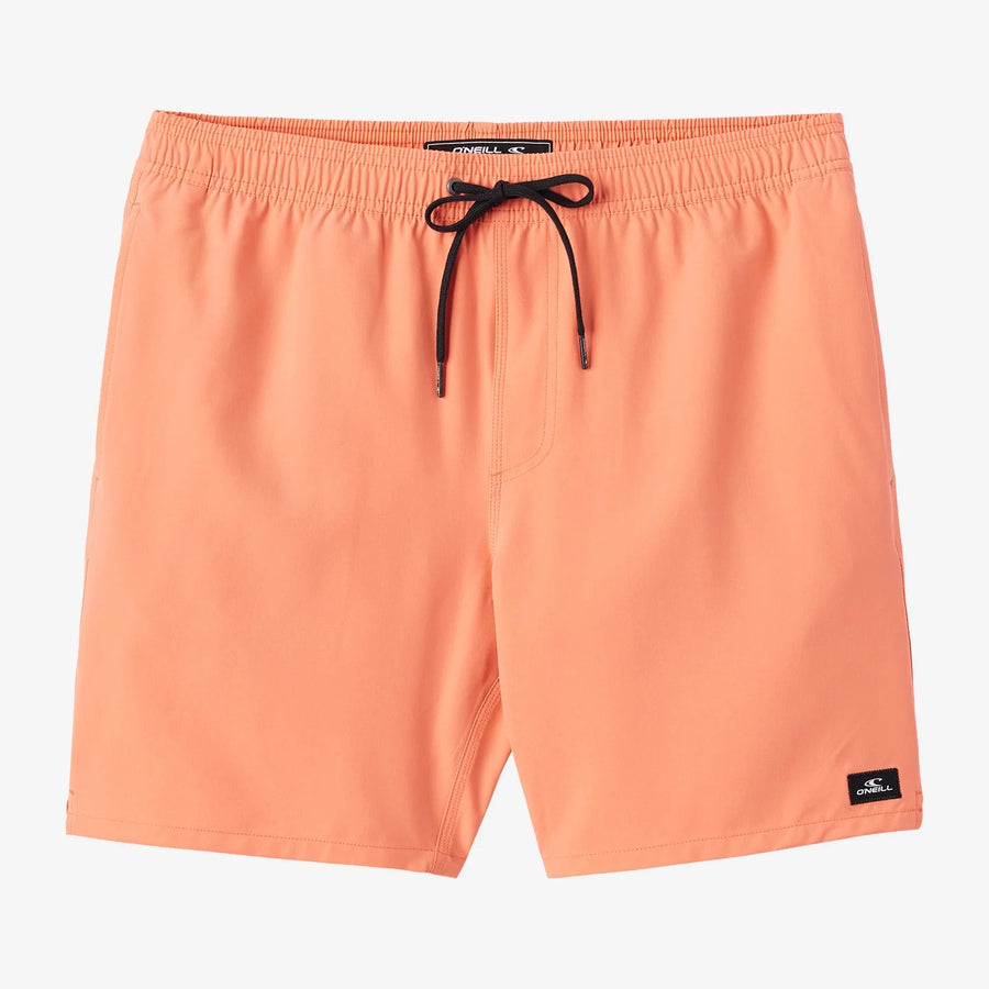 Boys Volley - O'Neill Boys Lennoz Hermosa 16" Volley Short