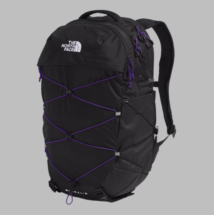 Bag - North Face Women's Borealis Backpack