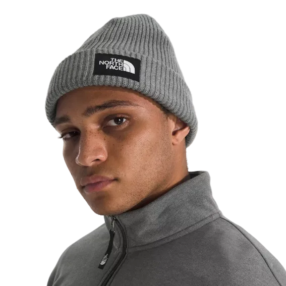 Beanie - North Face Salty Lined Beanie