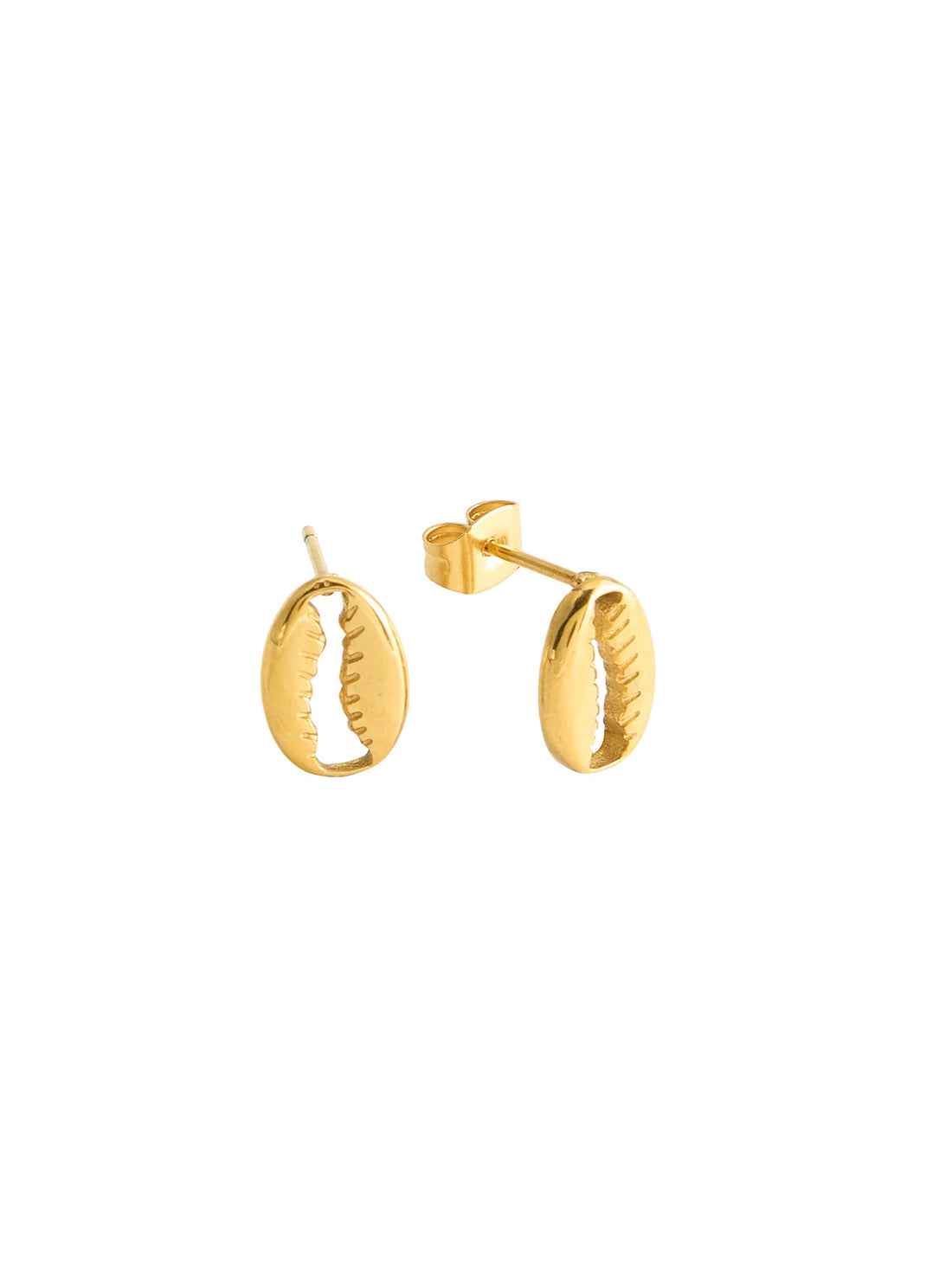 Earring - Salty Cali Cowrie Stud Earrings