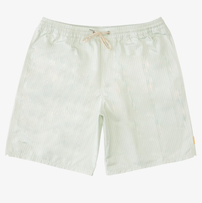 Volley - Quiksilver Waterman Deck Stripe 19" Volley